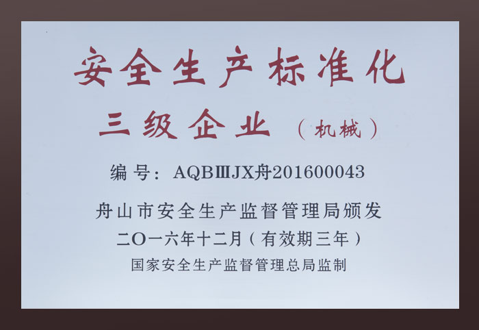 安全生產(chǎn)標(biāo)準(zhǔn)化三級企業(yè)